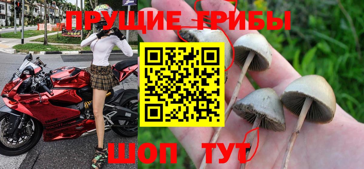 Калининград  Галлюциногенные грибы GOLDEN TEACHER  Вход с VPN 